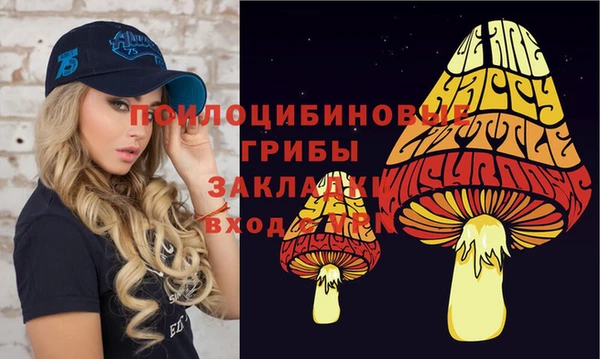 spice Алексеевка